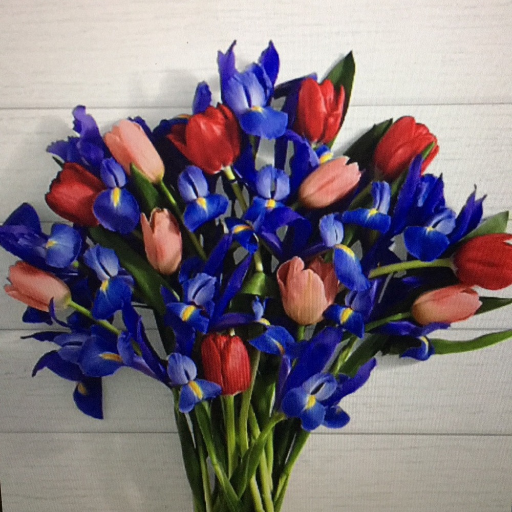 Meet your Posher, Mia